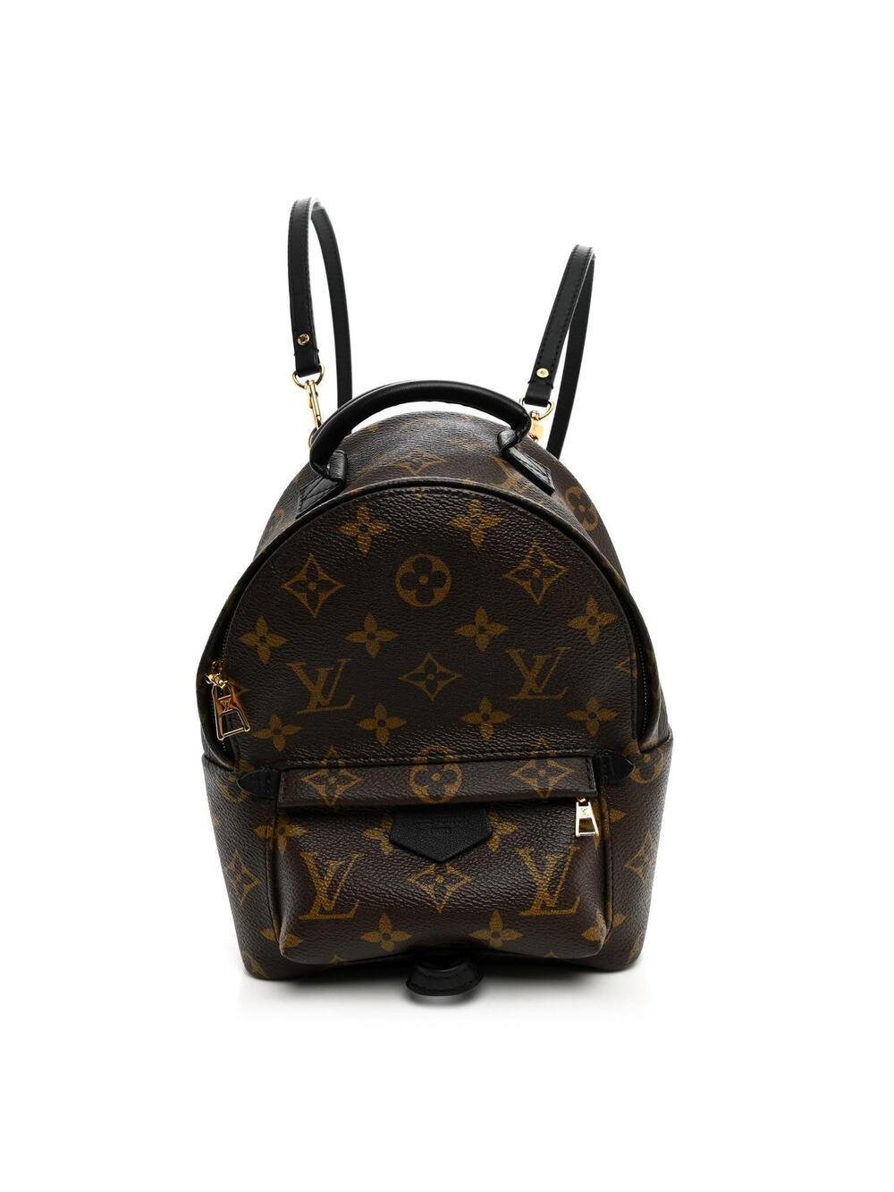 Louis Vuitton Palm Springs Backpack #328669L17B